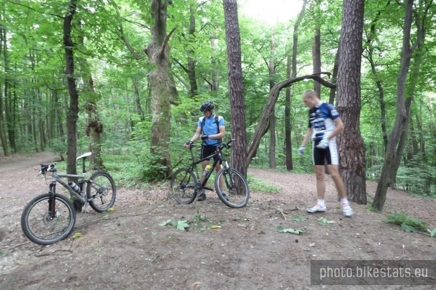 Wyżerka dla gigantycznych komarów