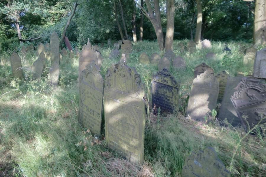 Kirkut w Krzepicach