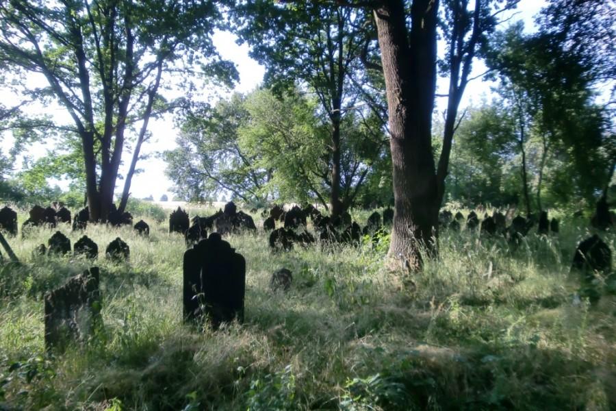 Kirkut w Krzepicach 2