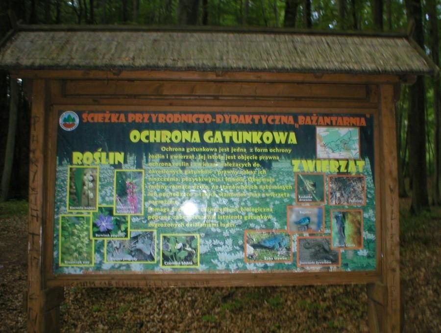 PKT KONTOLNY MOSTEK ELEWÓW