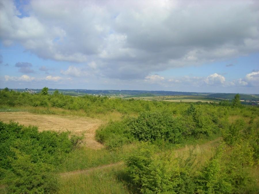 Widok z ambony w Małusach II.