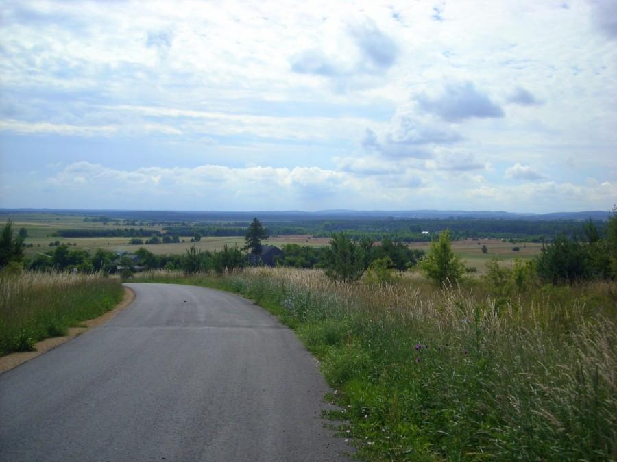 Widok z ambony w Małusach III.