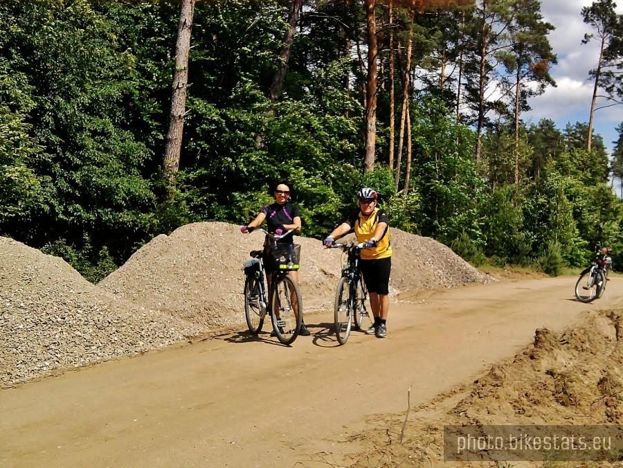 Na leśnej drodze.