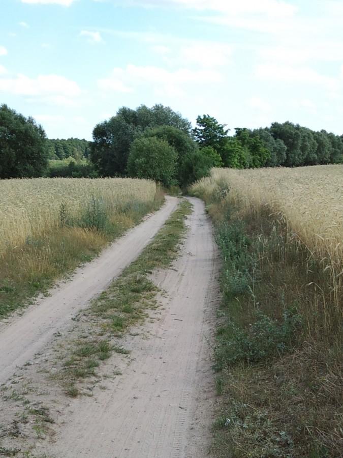 Odcinek Ceradz Kościelny - Drwęsa,Swojskie klimaty.