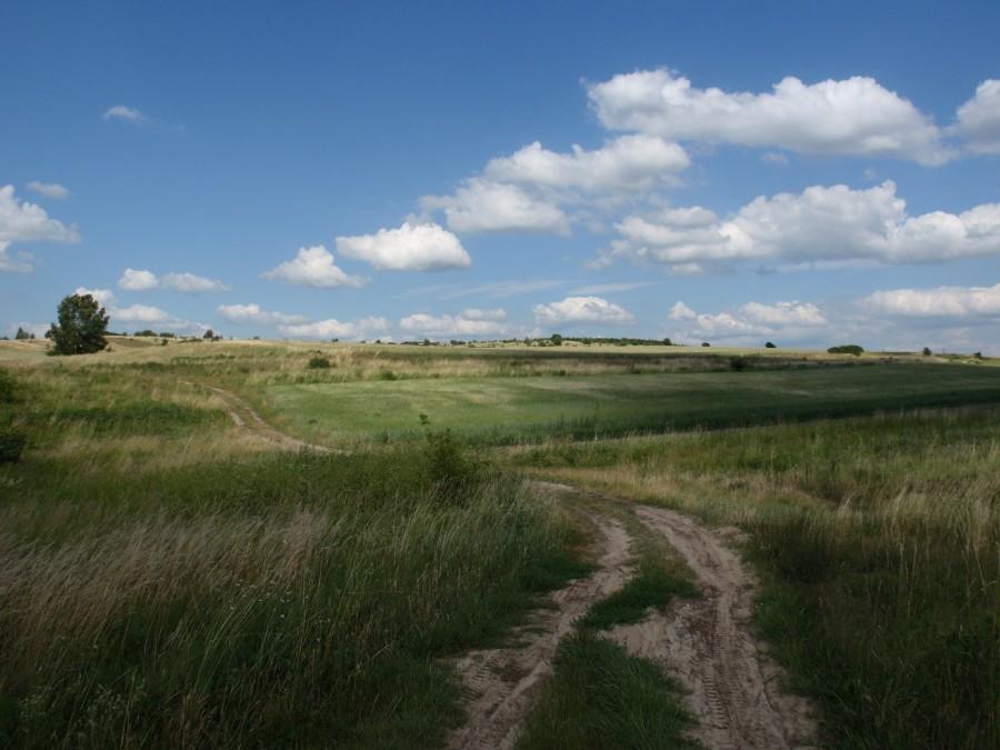 Droga wśród pól