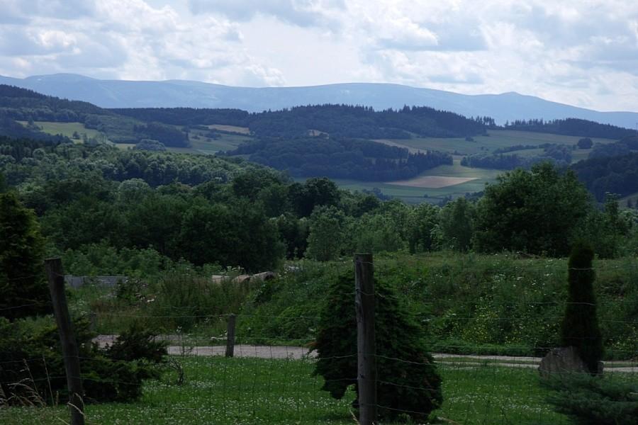 Widoczek