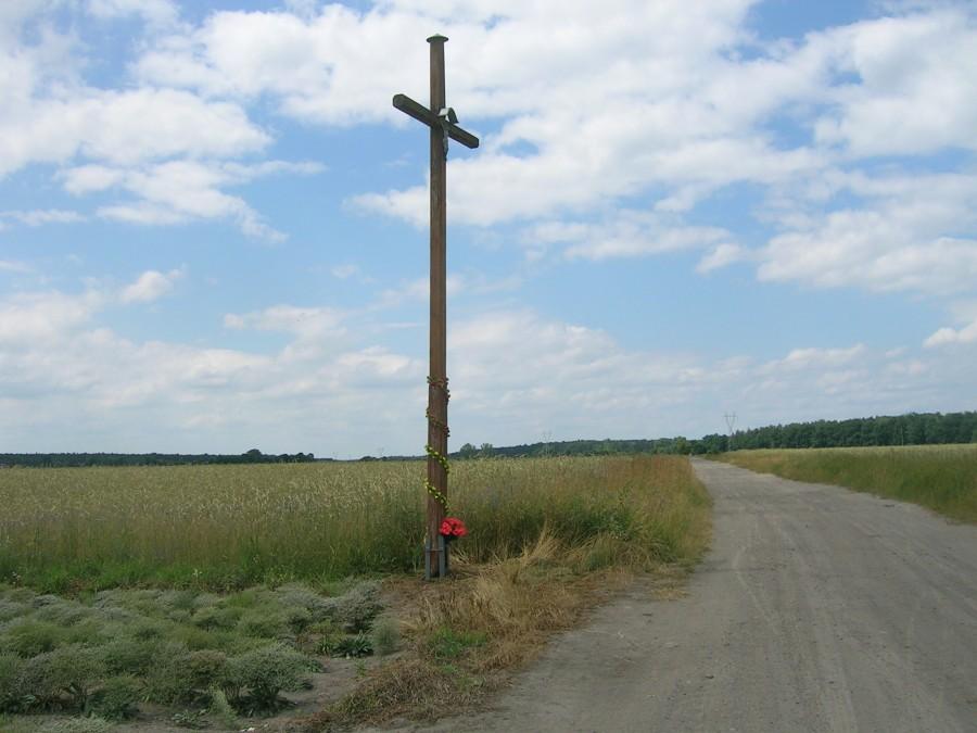 polnymi drogami