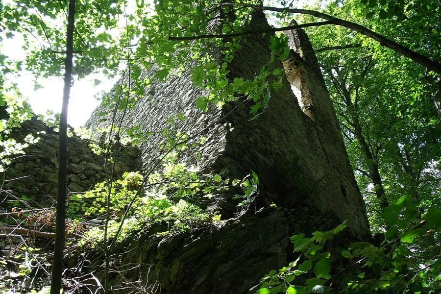 Zamek Niesytno w Płoninie