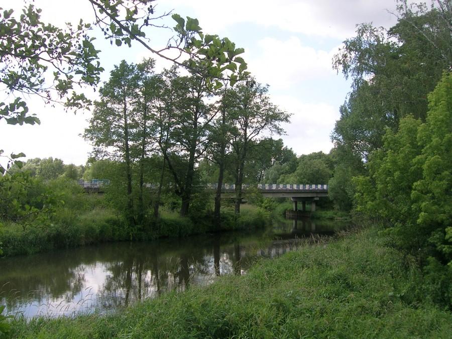 rzeka Warta