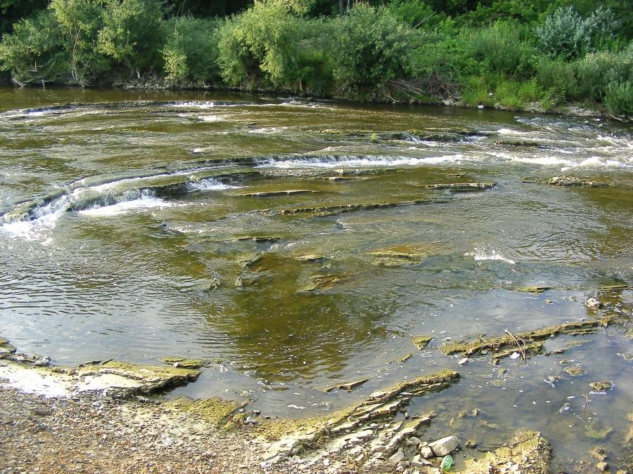 Wisłok w Zarzeczu