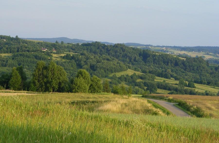 Górki w Lubeni