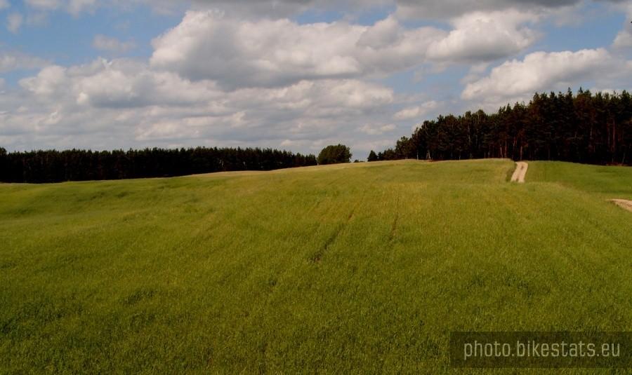 Widoczek z ambony, niestety zwierzaczka nie widziałam..