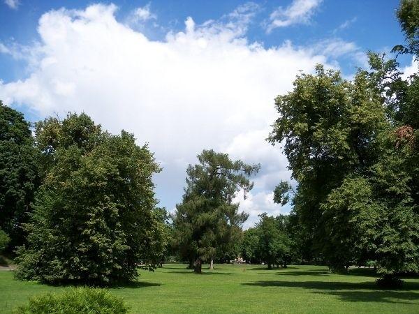Park w Jabłonnie