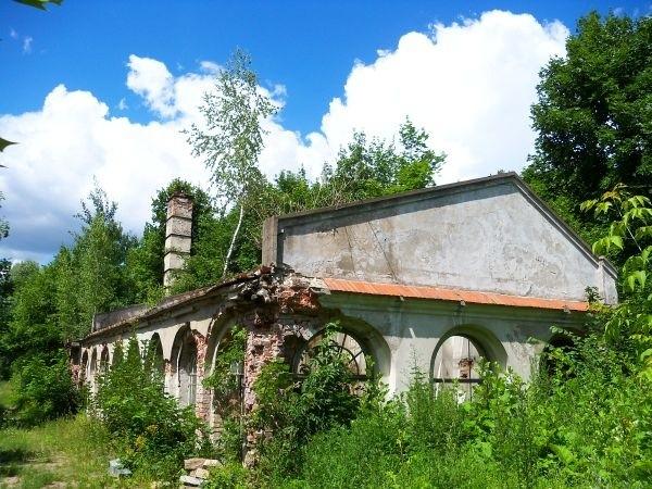 Niezidentyfikowane ruiny koło parku