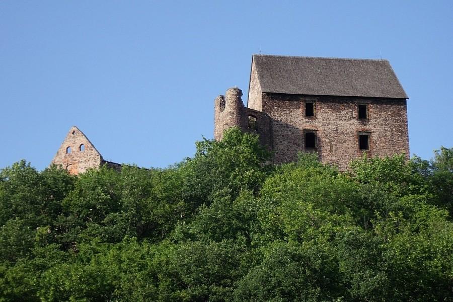 Zamek Świny