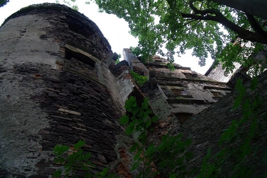 Zamek Świny