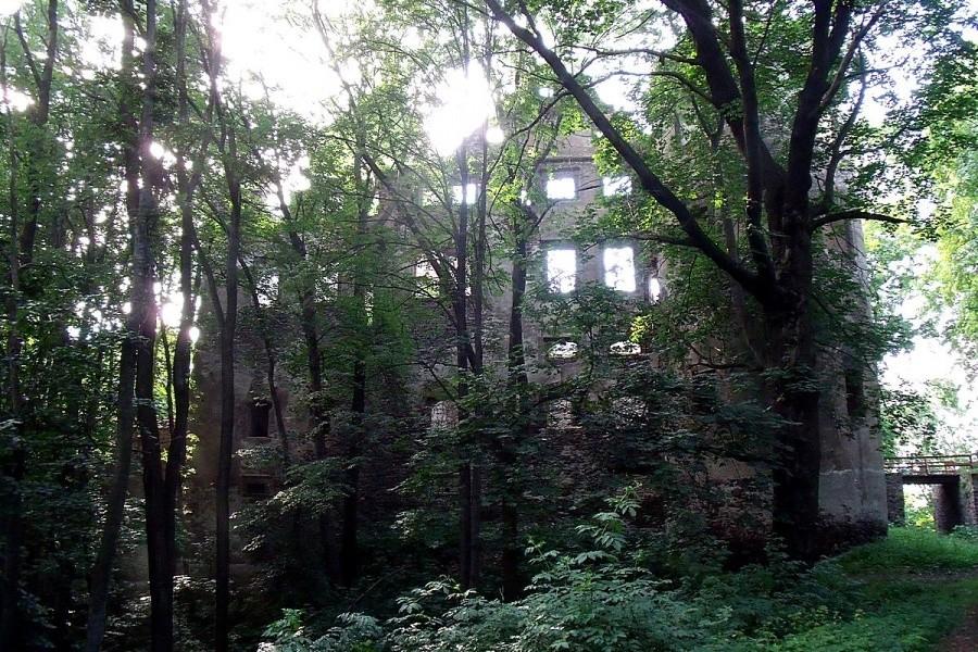 Zamek Świny