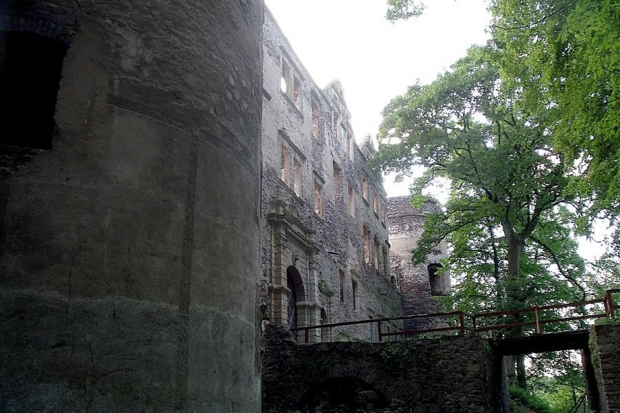 Zamek Świny
