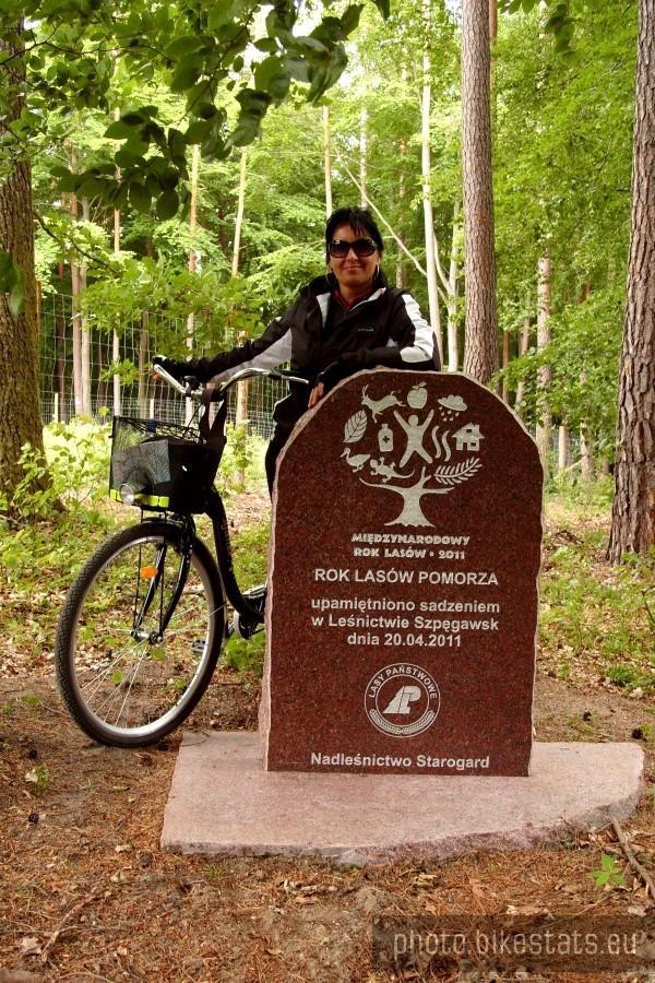 Tablica pamiątkowa w okolicach nadleśnictwa Szpęgawsk z okazji Międzynarodowego Roku Lasu 2011.