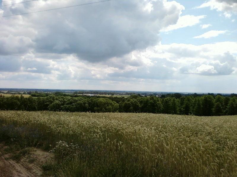 Widok z Wału Wydartowskiego