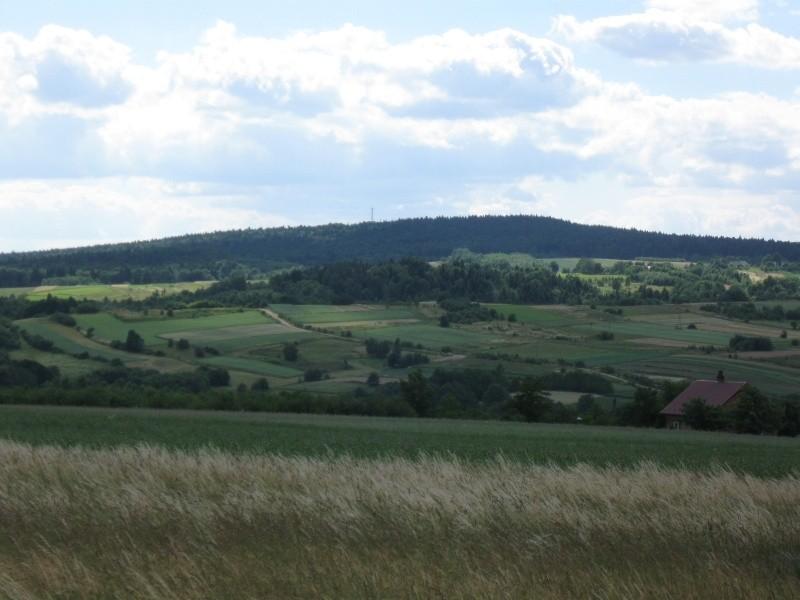 Ujazdy i widok na rez. Wilcze.