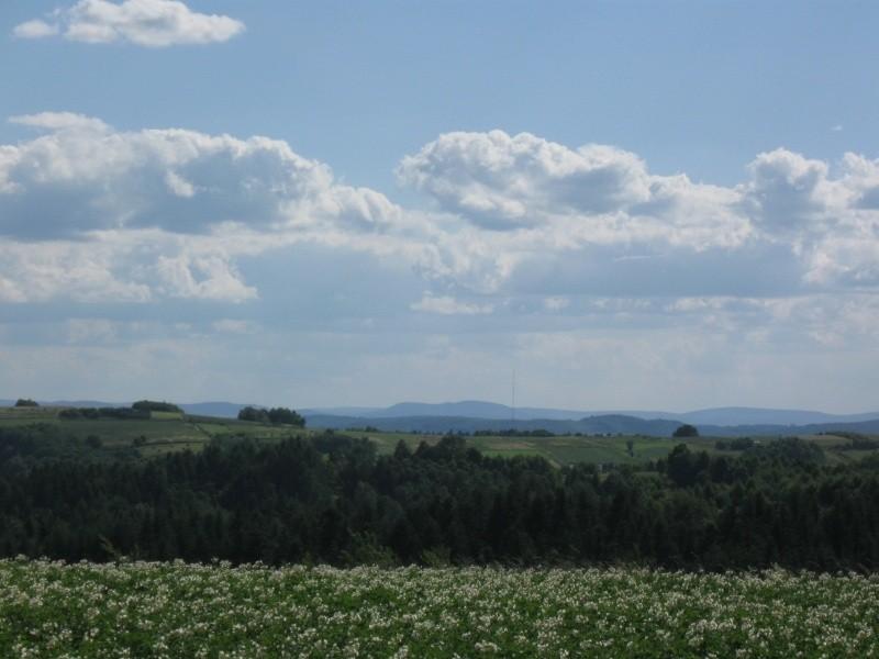 Widok na Cergową.