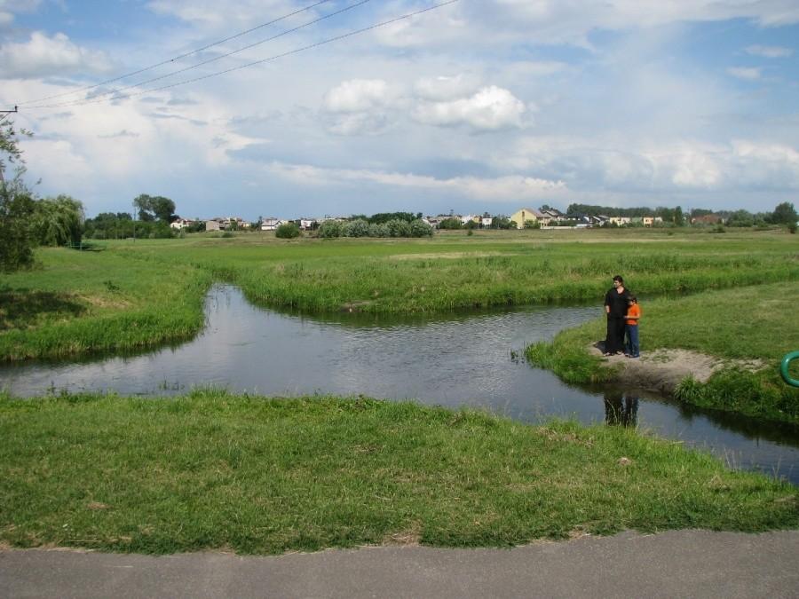 Bifurkacja czy skrzyżowanie?