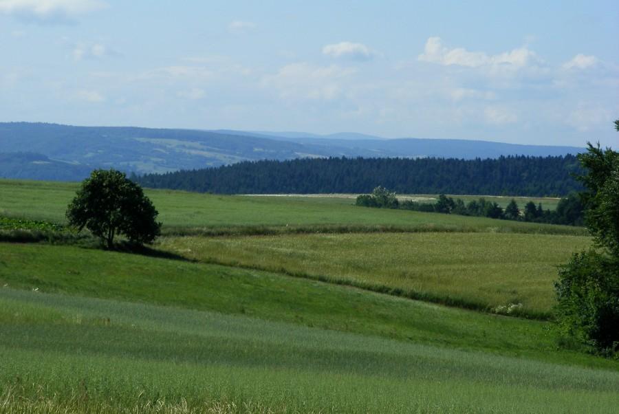 Na początek widoczek z serpentyn w Dylągówce