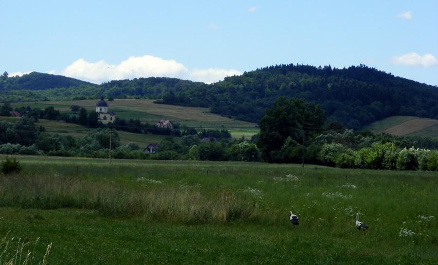 Charakterystyczne krajobraz na Pogórzu Przemyskim