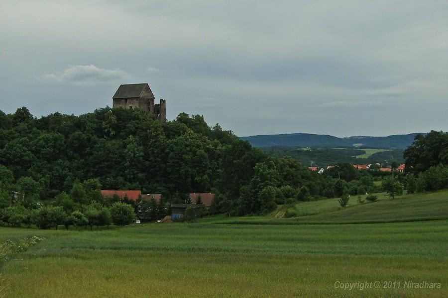 zamek Świny