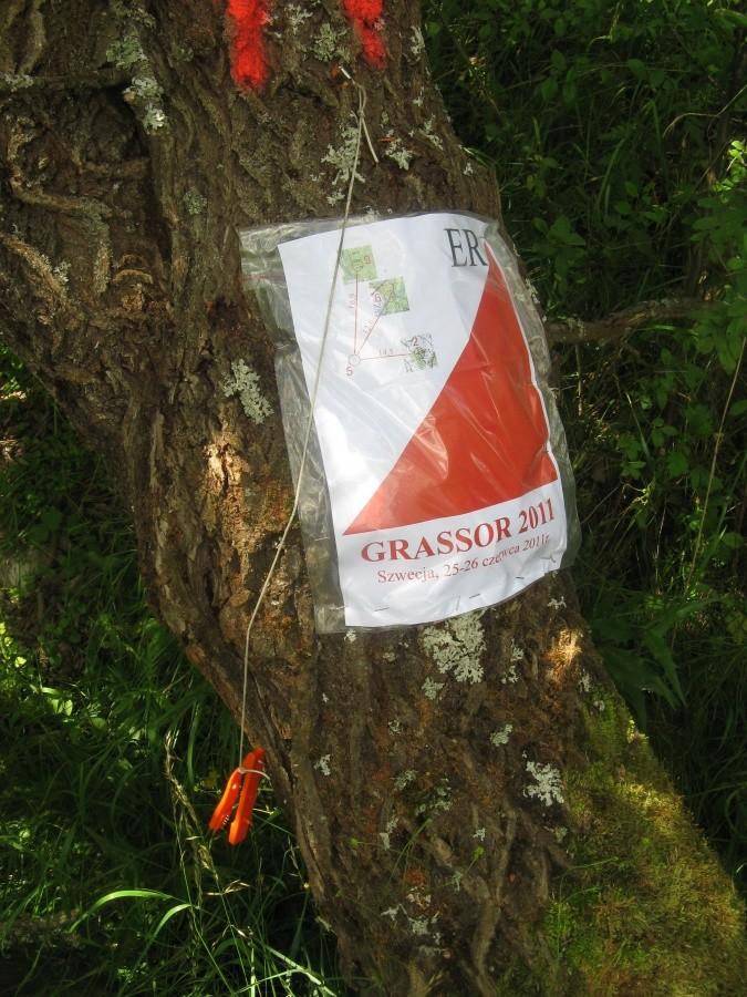 Grassor 2011