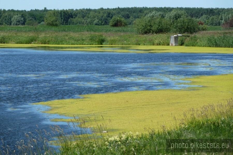 Kolorowo jak na obrazku