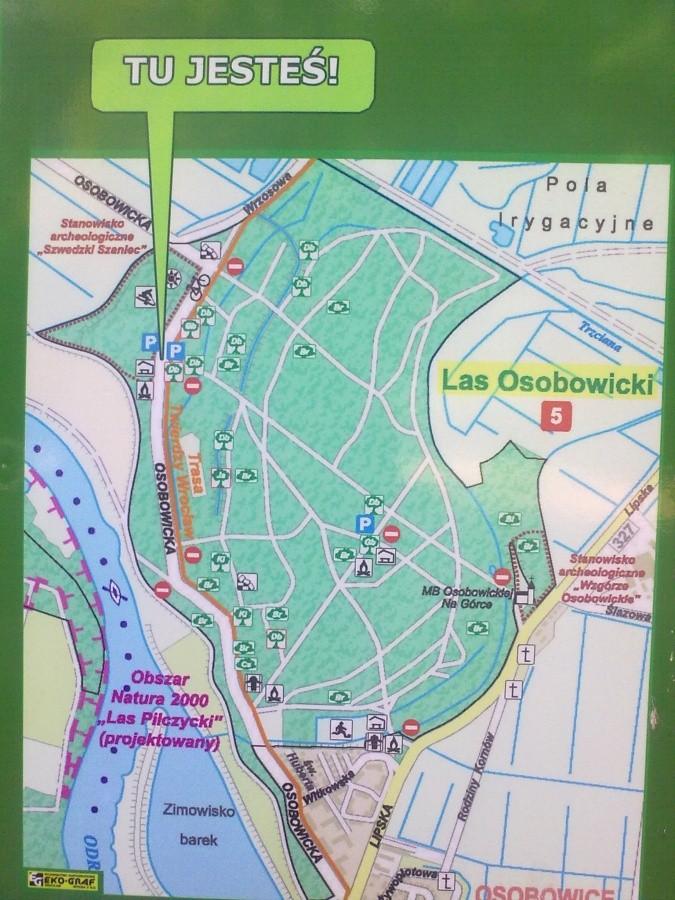 Mapka "gdzie jesteś" - Las Osobowicki