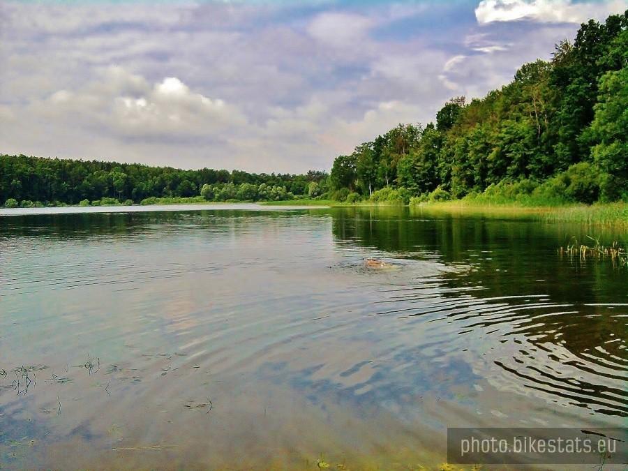 Jezioro Małe Borówno.