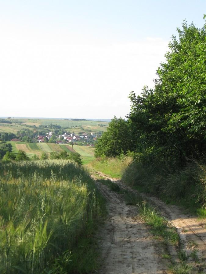 Okolice Przybyszówki.
