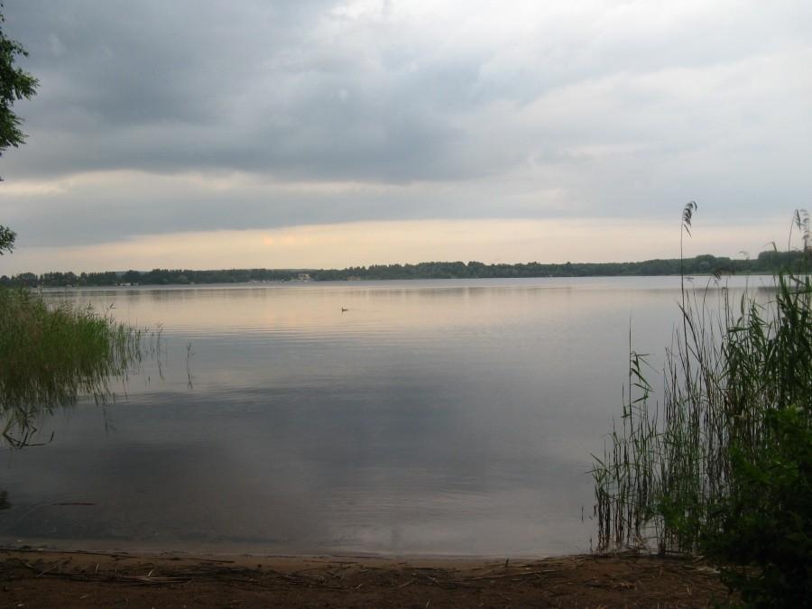 Pogoria III