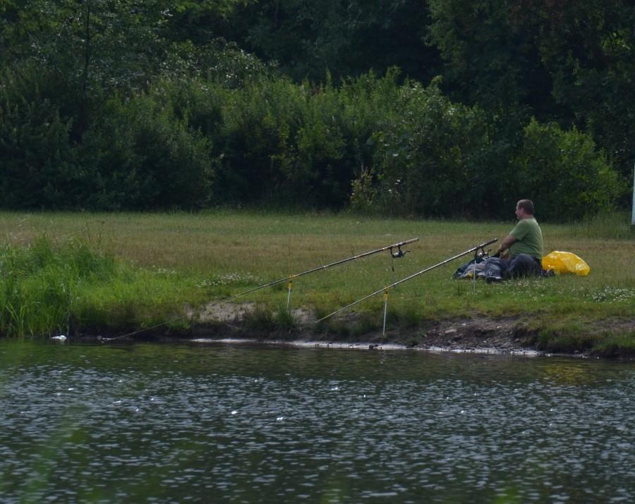 A gdzie złota rybka ?