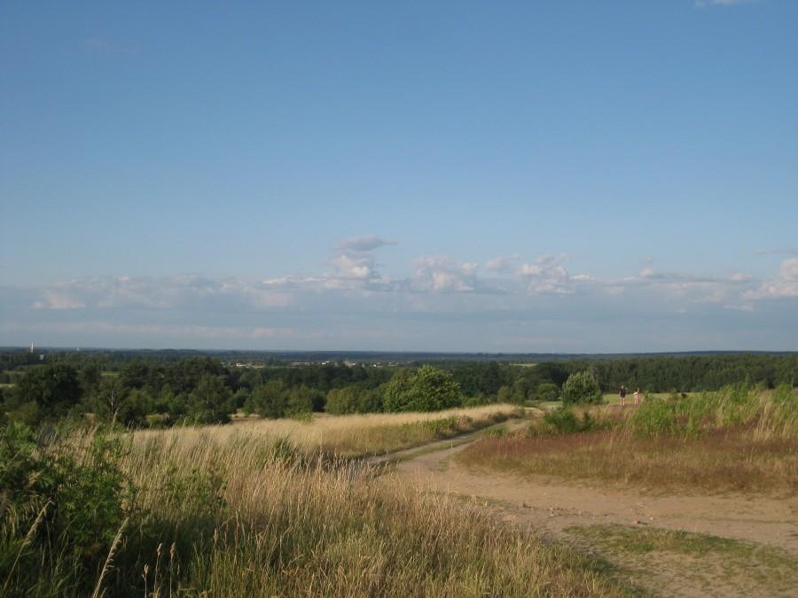 Widoczek 1