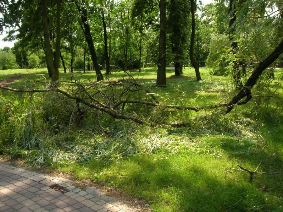 skutek wiatru