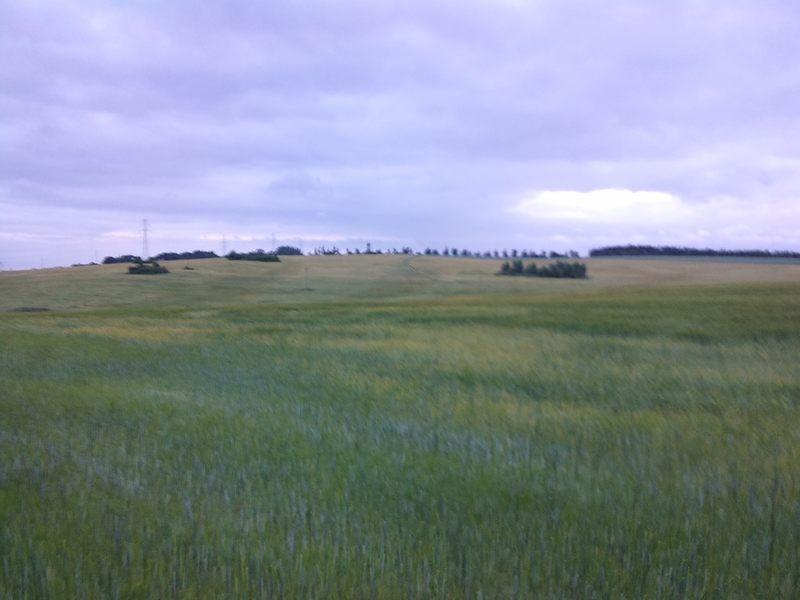 Niewyraźne pole