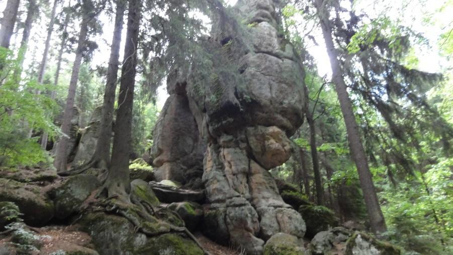 Skały w górach stołowych