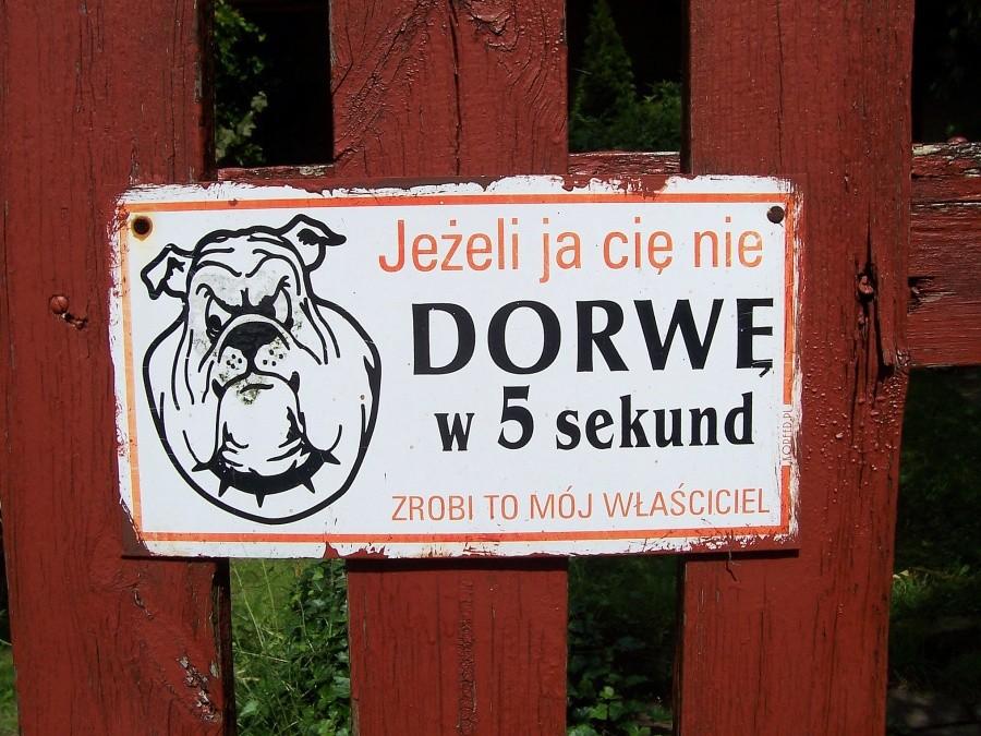 Gorące powitanie u Tunisławy...kawą i ciastem tak naprawdę. ;)))
