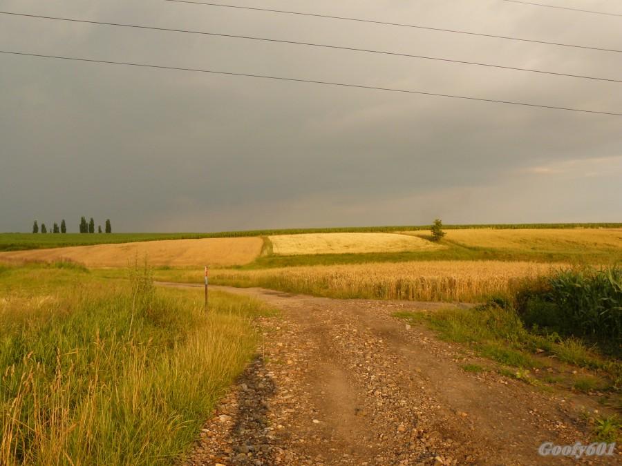 ul. Traktorzystów - będzie padać?