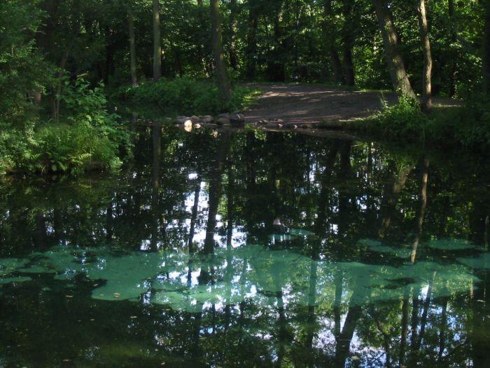 Rezerwat Niebieskie Źródła