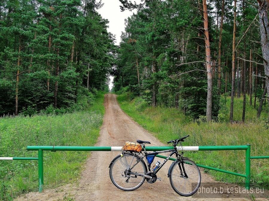 Nowy szlaban w lesie Rokickim.