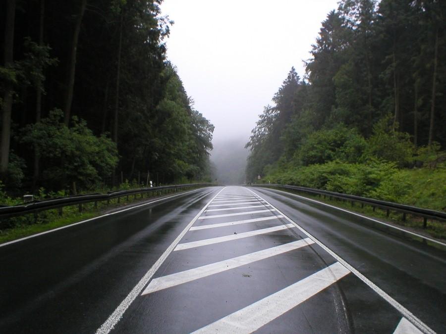 WZNIESIENIA LASU TEUTOBURSKIEGO