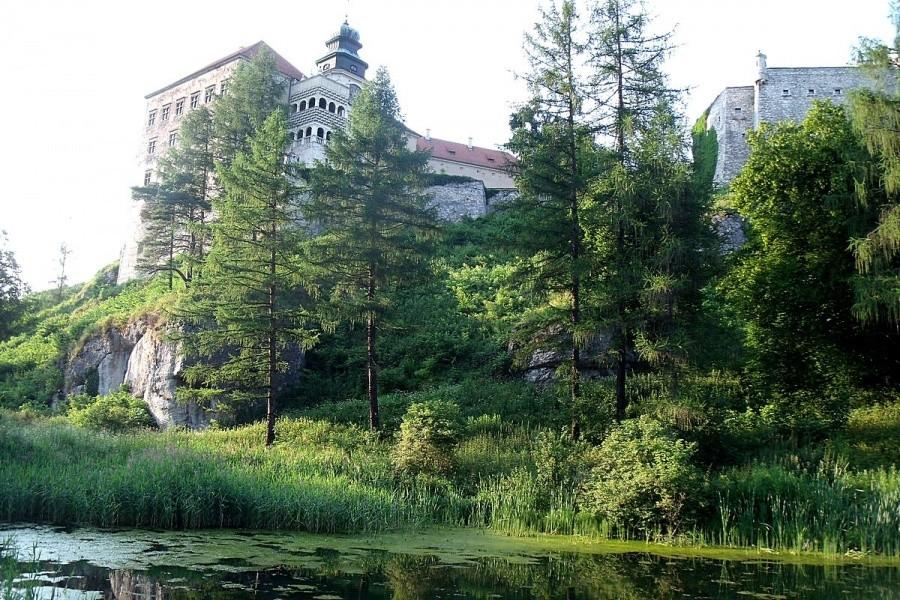 Zamek w całej okazałości