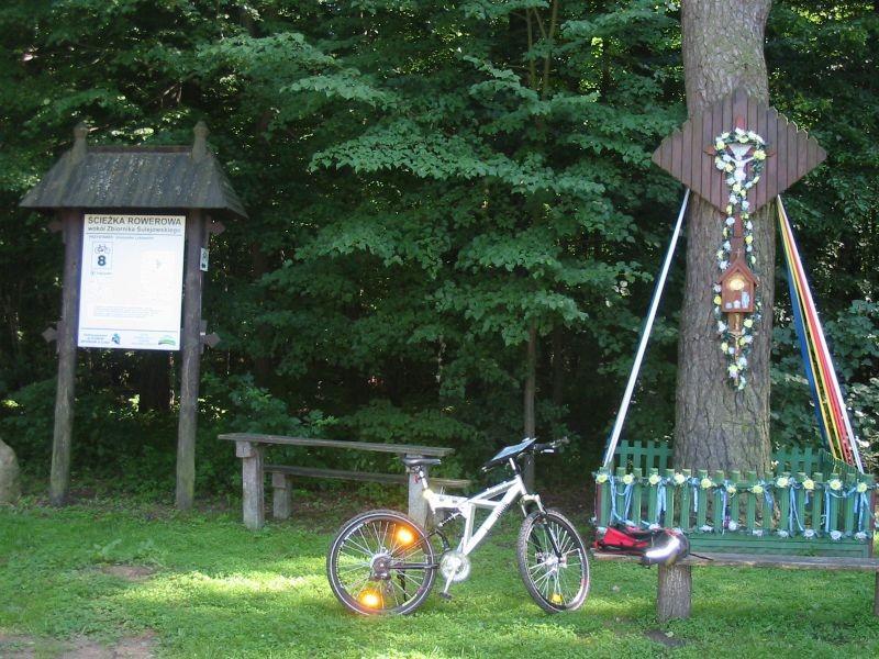 przystanek nr 8 rowerowa ścieżka wokół zalewu Sulejowskiego