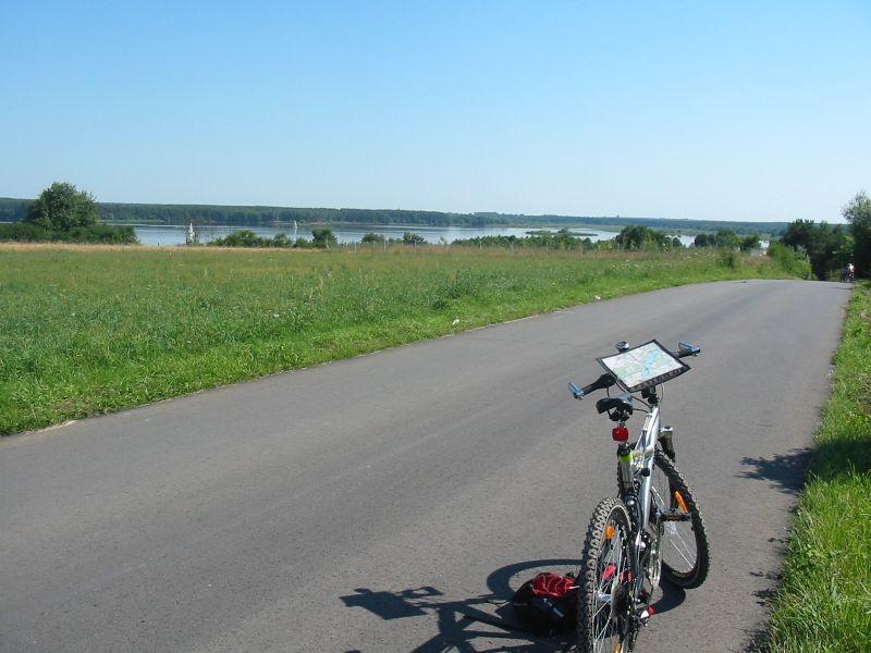 Brzeg Zalewu Sulejowskiego na wysokości Barkowice Mokre