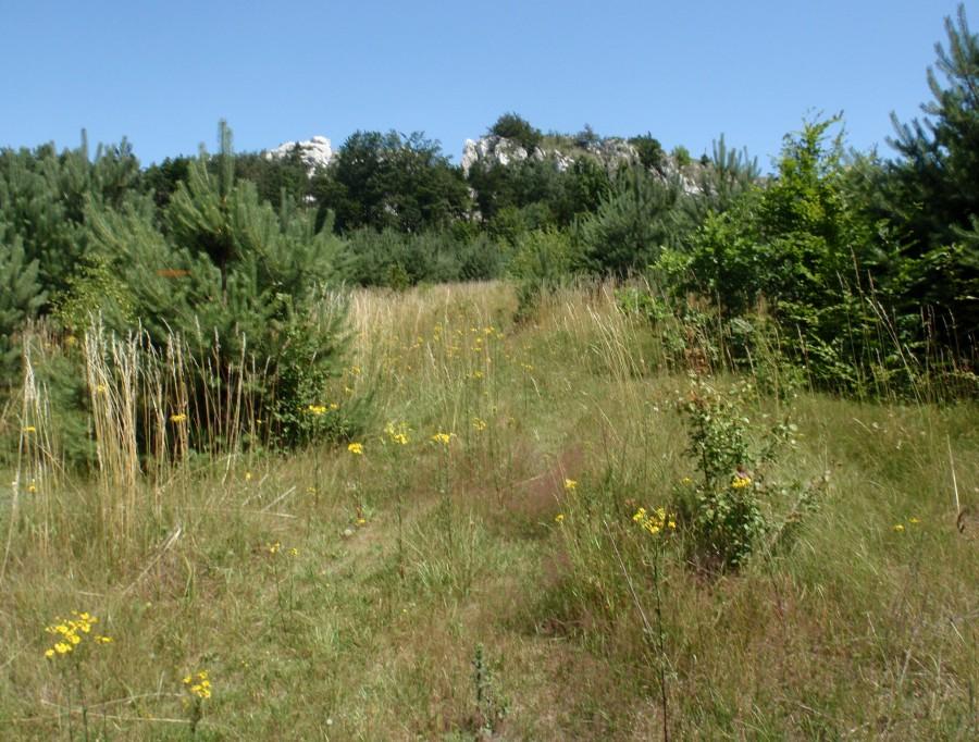 Skałki w Kroczycach